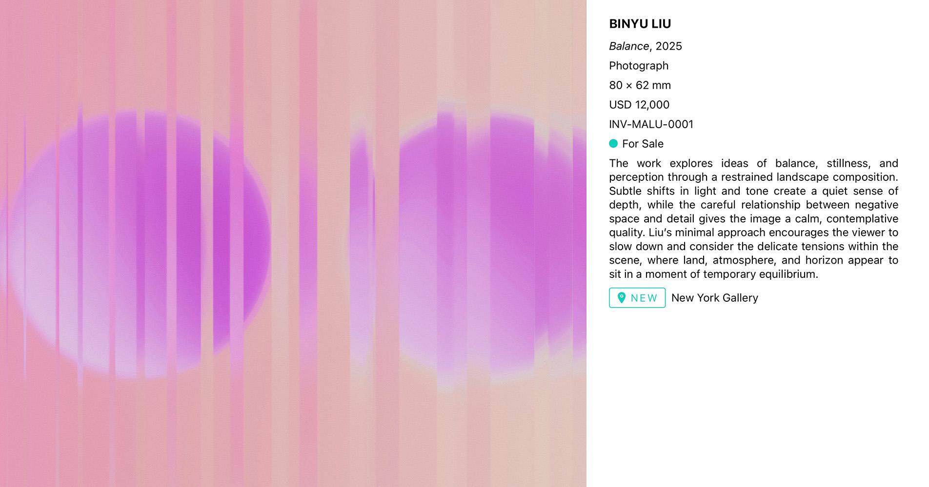Artwork record for Binyu Liu, Balance, 2025 — photograph, USD 12,000, for sale